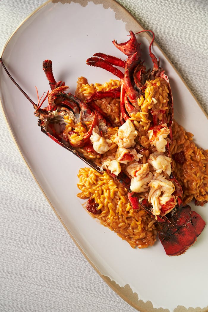 An exquisite plate of lobster risotto, perfectly arranged for a luxurious dining experience.